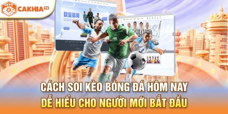 Cách soi kèo bóng đá hôm nay dễ hiểu cho người mới bắt đầu